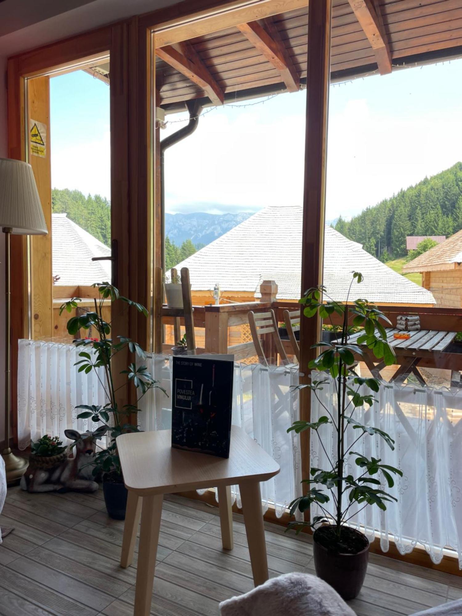 Villa Andolia à Moeciu De Sus Extérieur photo