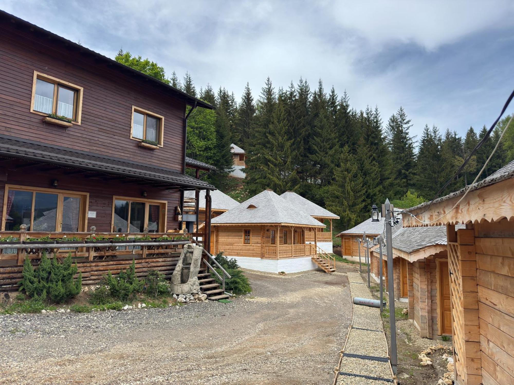 Villa Andolia à Moeciu De Sus Extérieur photo