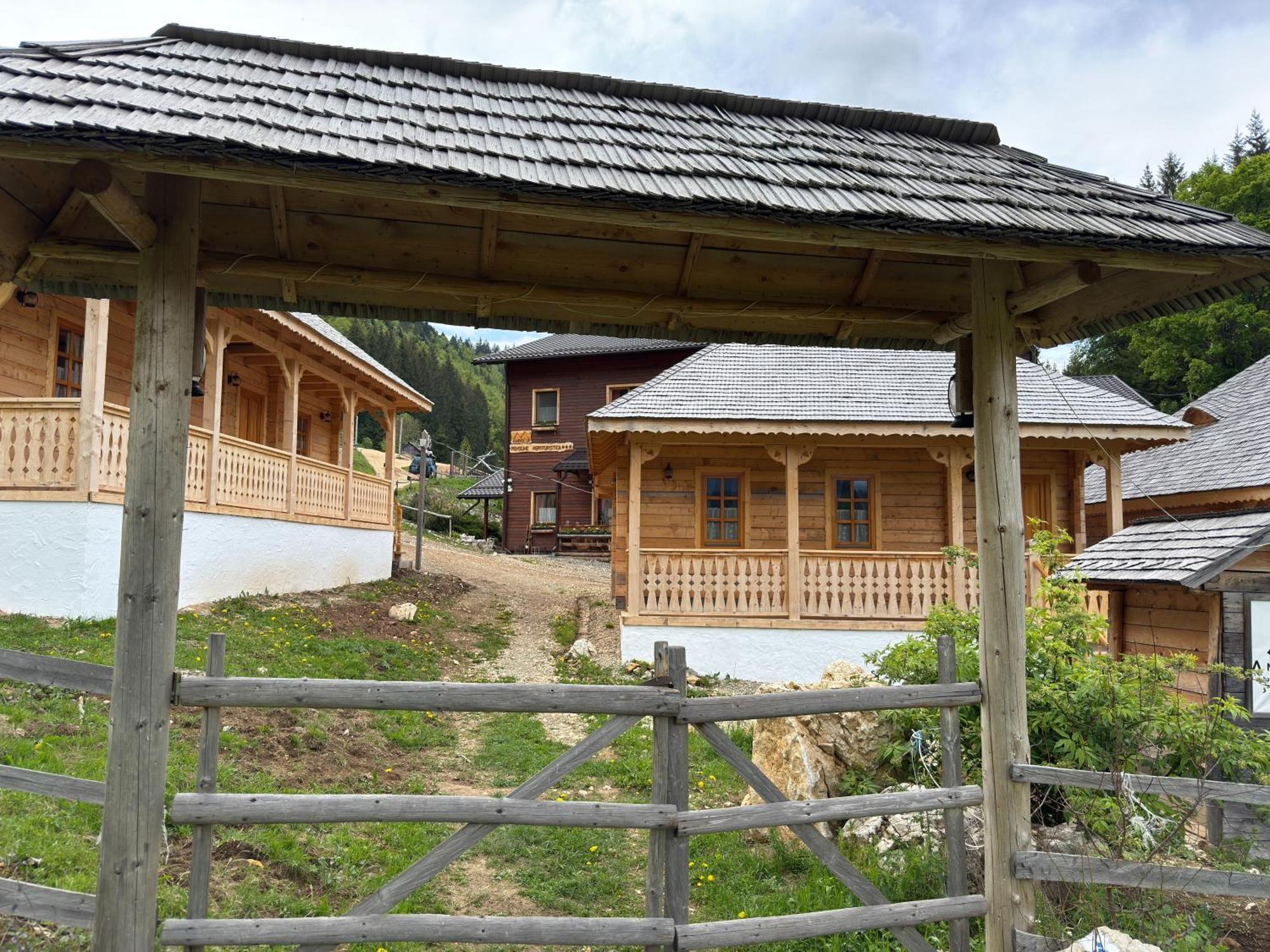 Villa Andolia à Moeciu De Sus Extérieur photo